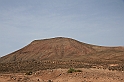 Kanary_2010 062
